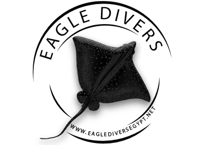 Eagle Divers