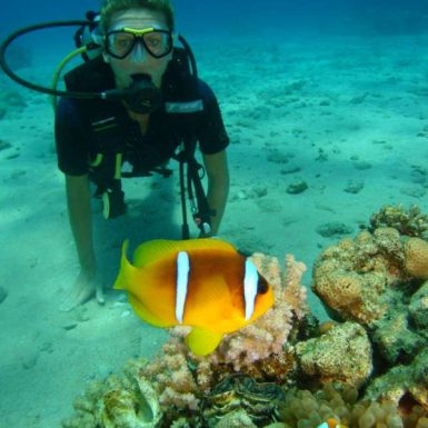 Intro Dive from shore 10 MIN
